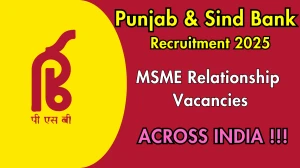 Punjab and Sind Bank MSME Relationship Managers Recruitment 2025 - Apply Online for 30 Posts