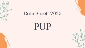 PUP Date Sheet 2025 Announced @ punjabiuniversity.ac.in Details Here PUP Date Sheet 2025 Announced @ punjabiuniversity.ac.in Details Here