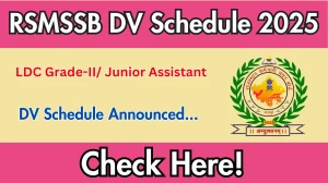 RSMSSB LDC Grade-II/ Junior Assistant DV Schedule 2025: Check Document Verification Date @ rsmssb.rajasthan.gov.in