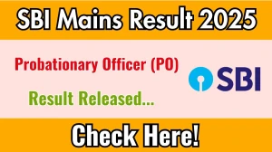 SBI PO Mains Result 2025 Out at sbi.co.in, Direct Link to Download Result PDF Here SBI PO Mains Result 2025 Out at sbi.co.in, Direct Link to Download Result PDF Here