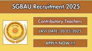SGBAU Contributory Teachers Recruitment 2025 - Apply Online SGBAU Contributory Teachers Recruitment 2025 - Apply Online