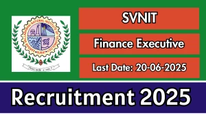 SVNIT Finance Executive Recruitment 2025 - Apply Offline