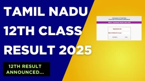 Tamil Nadu 12th Class Result 2025 Out at tnresults.nic.in How to check Results Here