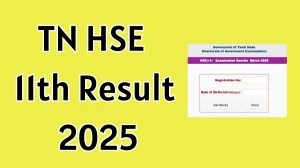 TN HSE 11th Result 2025 Out at tnresults.nic.in How to check Results Here