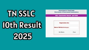 TN SSLC 10th Result 2025 Out at tnresults.nic.in How to check Results Here