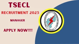 TSECL Manager Recruitment 2025 - Apply Offline for 06 Posts