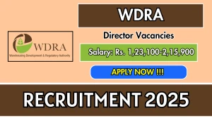 WDRA Director Recruitment 2025 - Apply Offline for 01 Posts WDRA Director Recruitment 2025 - Apply Offline for 01 Posts