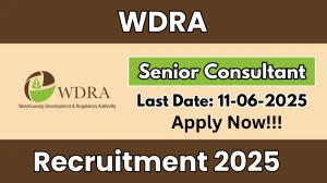 WDRA Senior Consultant Recruitment 2025 - Apply Offline WDRA Senior Consultant Recruitment 2025 - Apply Offline