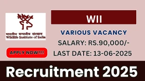 WII Recruitment 2025 - Apply Offline for 12 Scientific Consultant Grade, Project Associate and More Posts