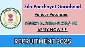 Zila Panchayat Gariaband Recruitment 2025 - Apply Offline for 03 Assistant District Coordinator, Accountant and More Posts Zila Panchayat Gariaband Recruitment 2025 - Apply Offline for 03 Assistant District Coordinator, Accountant and More Posts