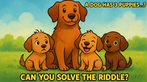 A Dog has 3 Puppies Riddle Answer Explained