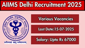 AIIMS Delhi Recruitment 2025 - Apply Offline for 03 Superintending Engineer, Chief Nursing Officer and Other Posts