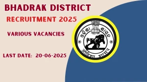 Bhadrak District Recruitment 2025 - Apply Offline for 02 Coordinator, MIS Assistant Posts