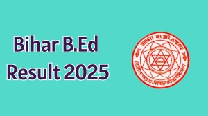 Bihar B.Ed Result 2025 Released at lnmu.in Direct Link to Download Common Entrance Test Result