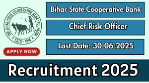 Bihar State Cooperative Bank Chief Risk Officer Recruitment 2025 - Apply Offline Bihar State Cooperative Bank Chief Risk Officer Recruitment 2025 - Apply Offline