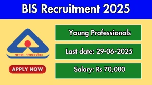 BIS Young Professionals Recruitment 2025 - Apply Online