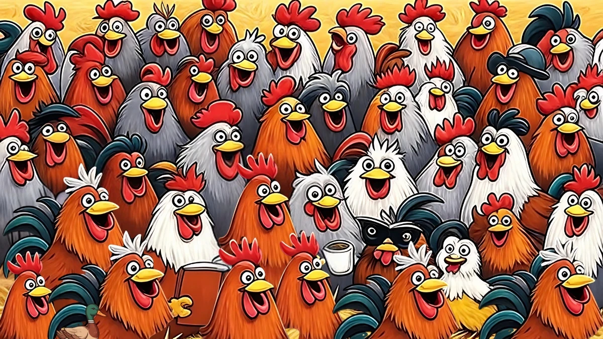 Brain Teaser 5 Secs Challenge: Can you find the Hidden Duck among Hens