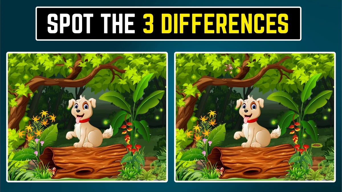Brain Teaser: Spot the 3 differences within 9 Secs