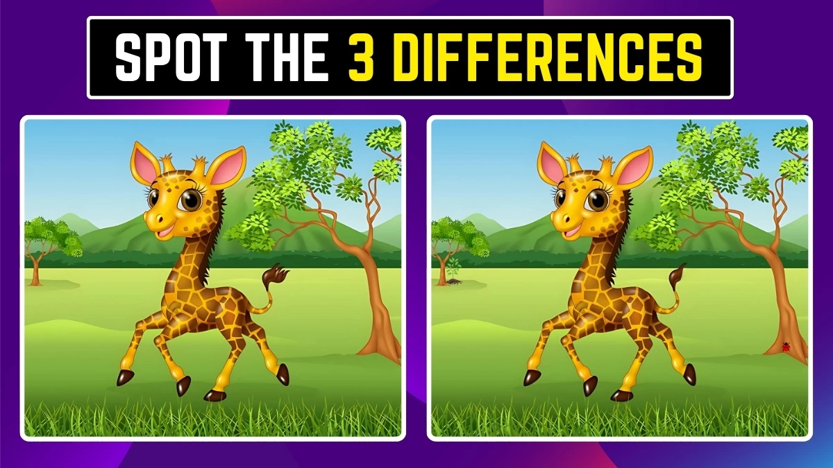 Brain Teaser: Within 10 Seconds Spot the 3 Differences in the Giraffe Pictures