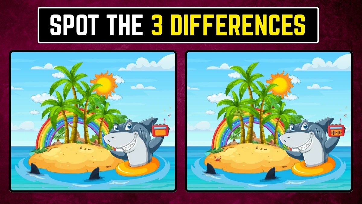 Brain Teaser: Within 10 Seconds Spot the 3 Differences in the Shark Pictures