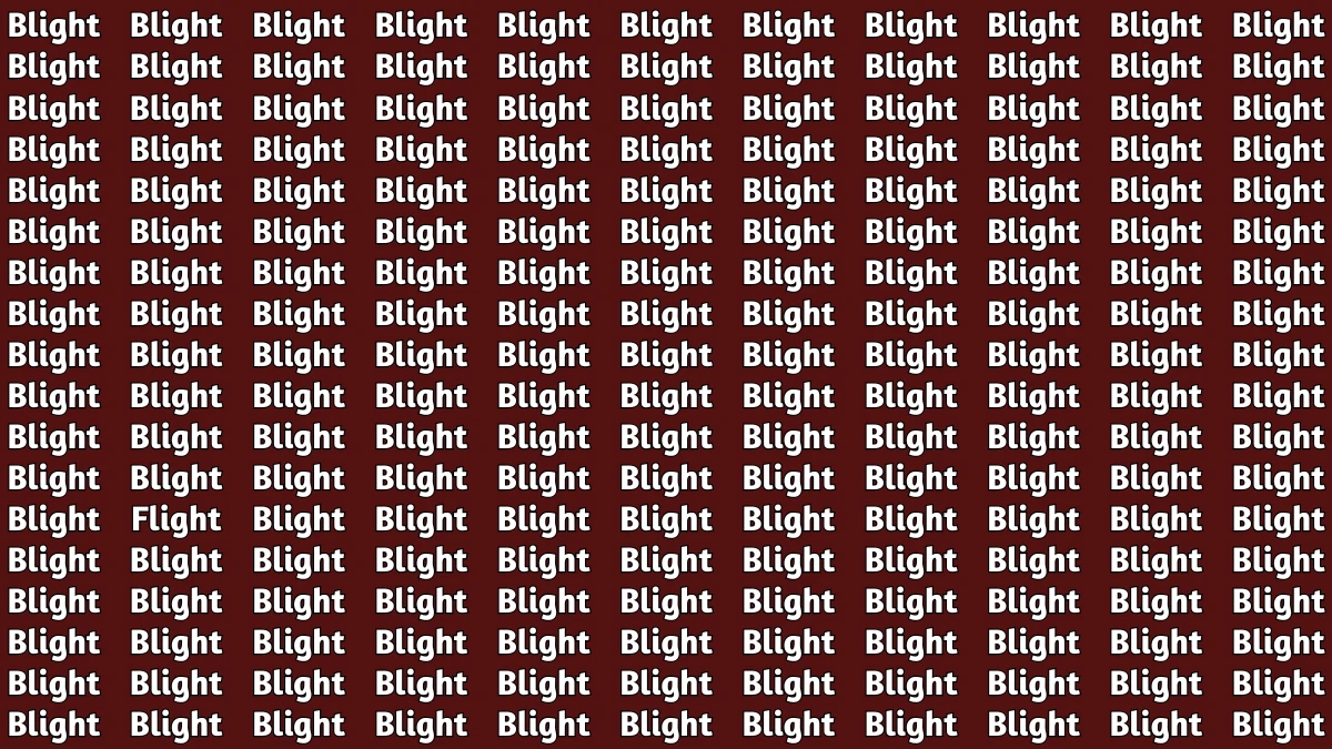 Brain Teaser: Within 5 Seconds Spot The Word Flight among Blight