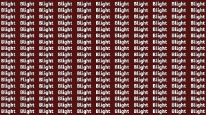 Brain Teaser: Within 5 Seconds Spot The Word Flight among Blight