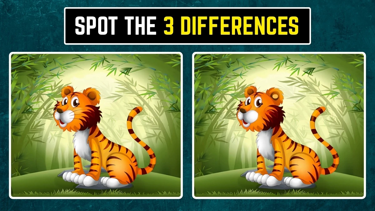 Brain Teaser: Within 8 Seconds Spot the 3 Differences in the Tiger Pictures