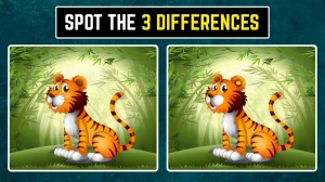 Brain Teaser: Within 8 Seconds Spot the 3 Differences in the Tiger Pictures