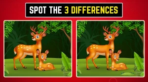 Brain Teaser: Within 9 Seconds Spot the 3 Differences in the Deer Pictures