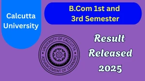 Calcutta University B.Com 1st and 3rd Semester Result 2025 Released at cuexam.net Direct Link to Download Result