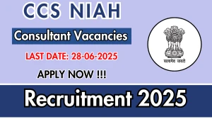 CCS NIAH Consultant Recruitment 2025 - Apply Offline for 01 Posts CCS NIAH Consultant Recruitment 2025 - Apply Offline for 01 Posts