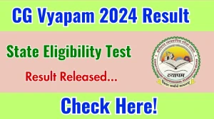 CG Vyapam SET 2024 Result 2025 Out at vyapamcg.cgstate.gov.in, Direct Link to Download Result PDF Here