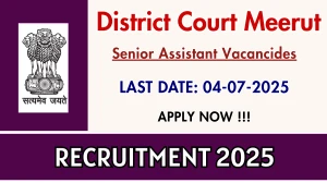 District Court Meerut Senior Assistant Recruitment 2025 - Apply Offline for 10 Posts