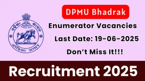 DPMU Bhadrak Enumerator Recruitment 2025 - Apply Offline for 27 Posts