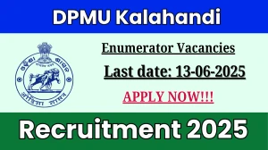 DPMU Kalahandi Enumerator Recruitment 2025 - Apply Offline for 35 Posts