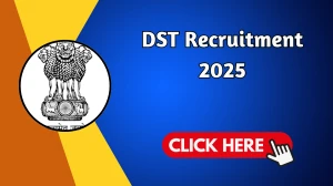 DST Senior Adviser Recruitment 2025 - Apply Online