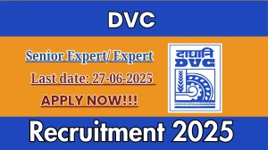 DVC Senior Expert/ Expert Recruitment 2025 - Apply Online