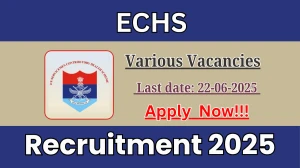ECHS Recruitment 2025 - Apply Offline for 03 Nursing Assistant, MTS and More Posts
