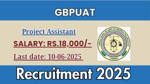 GBPUAT Project Assistant Recruitment 2025 - Apply Offline for 01 Posts