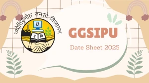 GGSIPU Date Sheet 2025 Announced @ ipu.ac.in Details Here GGSIPU Date Sheet 2025 Announced @ ipu.ac.in Details Here