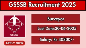 GSSSB Surveyor Recruitment 2025 - Apply Online for 03 Posts