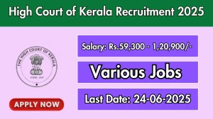 High Court of Kerala Senior software Developer Recruitment 2025 - Apply Online