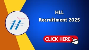 HLL Associate Vice President Recruitment 2025 - Apply Online HLL Associate Vice President Recruitment 2025 - Apply Online