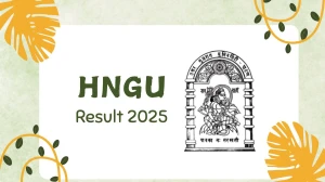 HNGU Result 2025 Released at ngu.ac.in Direct Link to Download 4th, 6th Sem Result HNGU Result 2025 Released at ngu.ac.in Direct Link to Download 4th, 6th Sem Result