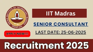 IIT Madras Senior Consultant Recruitment 2025 - Apply Online