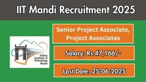 IIT Mandi Recruitment 2025 - Apply Offline for Senior Project Associate, Project Associates Posts