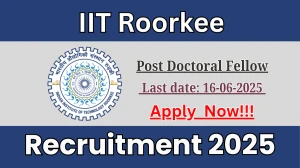 IIT Roorkee Post Doctoral Fellow Recruitment 2025 - Apply Online