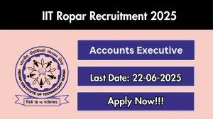 IIT Ropar Accounts Executive Recruitment 2025 - Apply Offline
