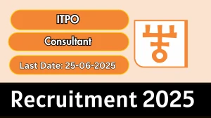 ITPO Consultant Recruitment 2025 - Apply Offline