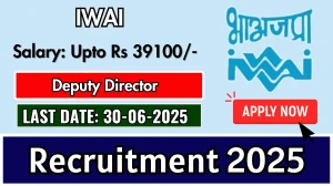 IWAI Deputy Director Recruitment 2025 - Apply Offline IWAI Deputy Director Recruitment 2025 - Apply Offline